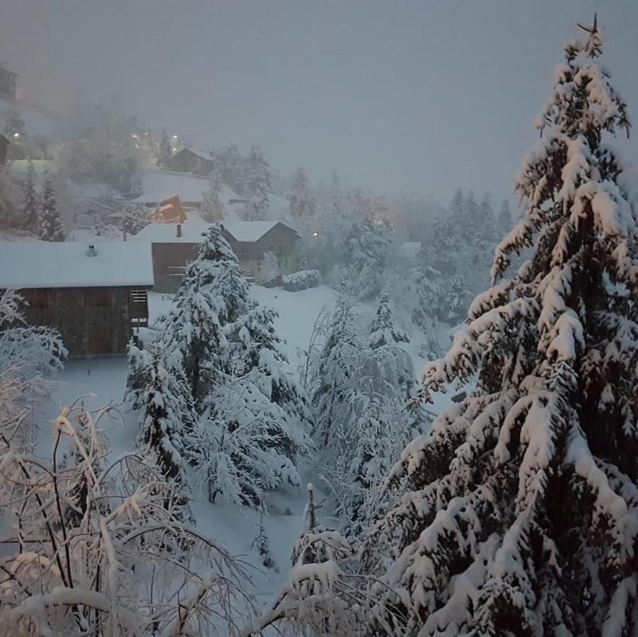Panoramic Xalet La Molina Con Vistas Excelentesヴィラ エクステリア 写真