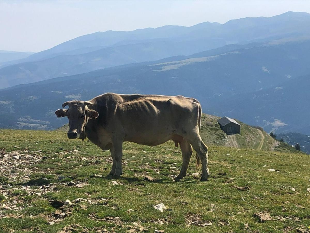 Panoramic Xalet La Molina Con Vistas Excelentesヴィラ エクステリア 写真